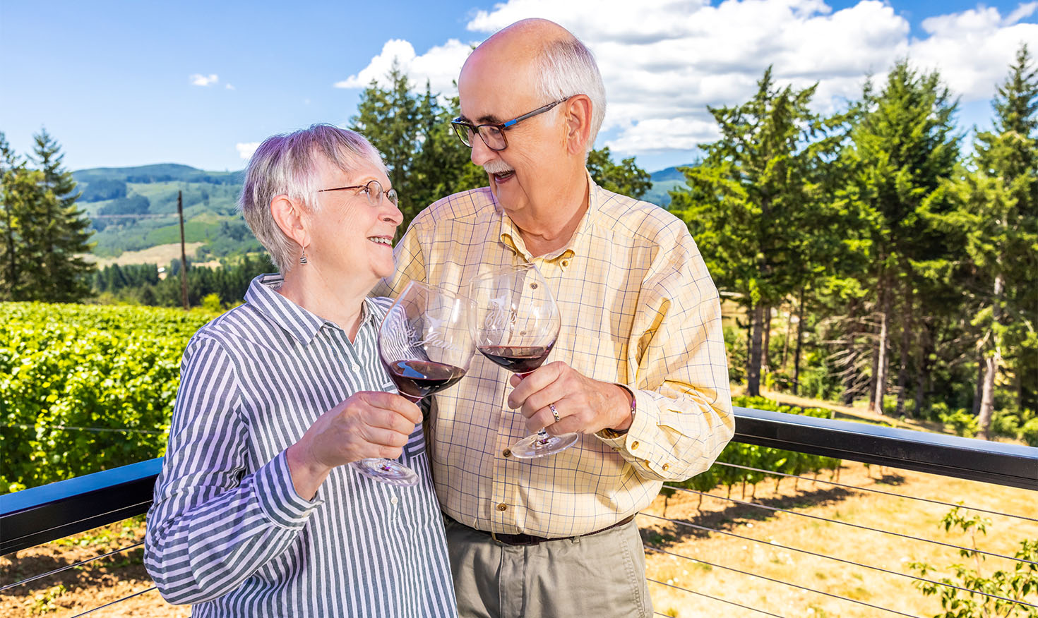 Senior couple in a vineyard clinking wine glasses while gazing at each other and smiling