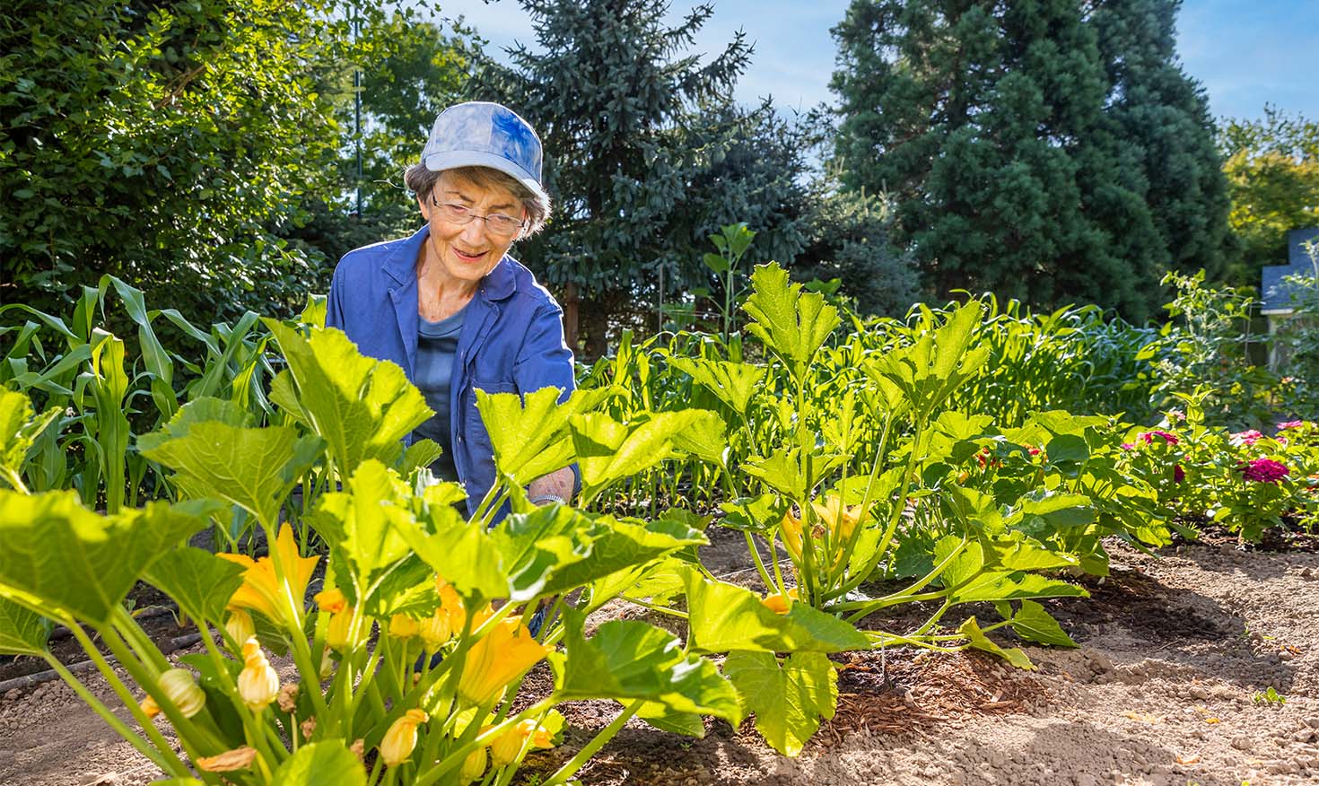 Senior woman gardening