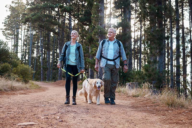 Senior couple hiking in the Pacific Northwest forest with their dog