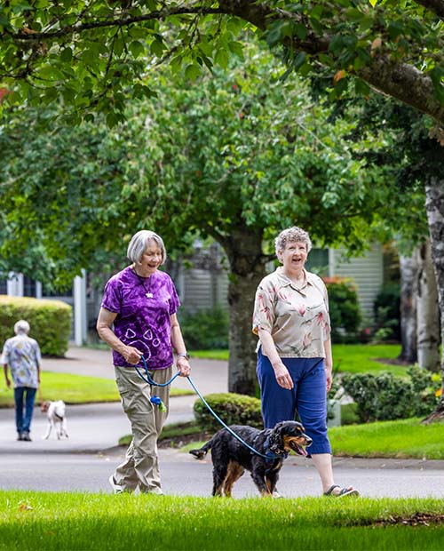Senior friends walking outside with a dog