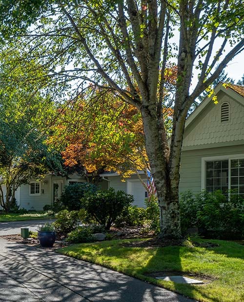 Exterior of a home in a shaded neighborhood