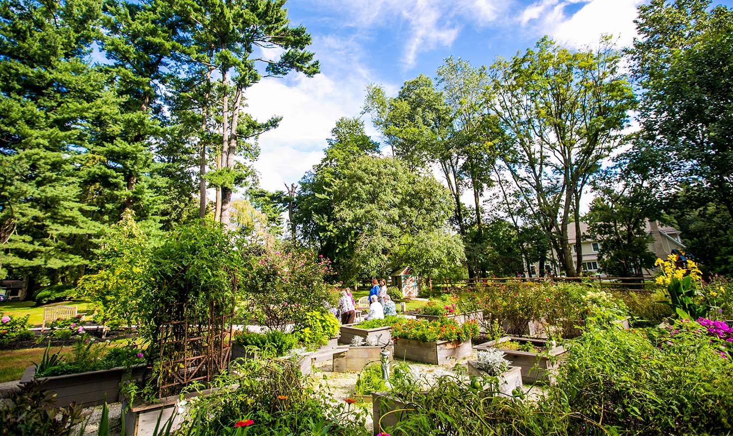 Panoramic view of a beautiful outdoor garden