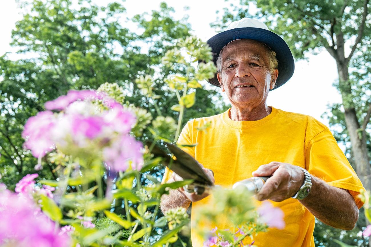 Senior man pruning flowers in the garden
