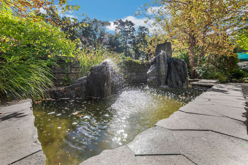 Waterfall and pond at Springhouse