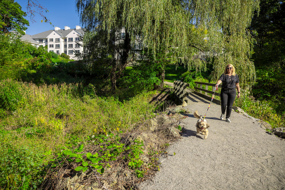 Woman walking a small dog on the walking path outside Springhouse