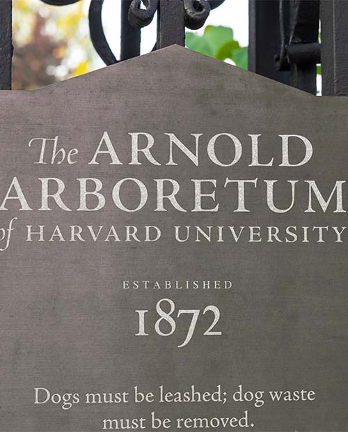 Plaque that reads The Arnold Arboretum of Harvard University Established 1892