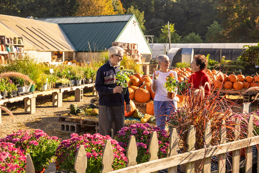 Three seniors at an outdoor farm holding flowers with pumpkins in the background