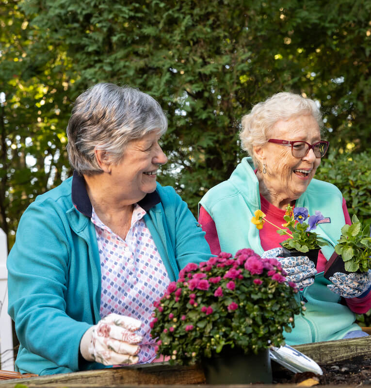 Two senior women planting flowers in a garden bed
