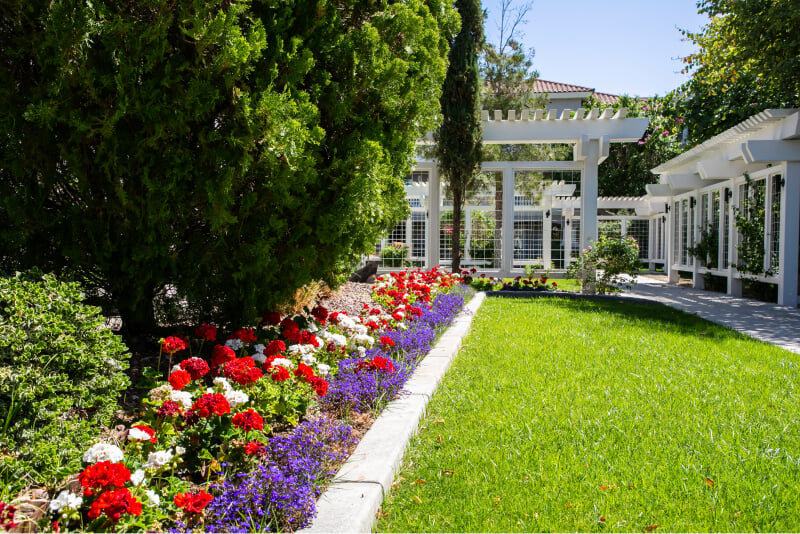 Outdoor space with a flower bed with red, white, and purple flowers, grass, and pergolas