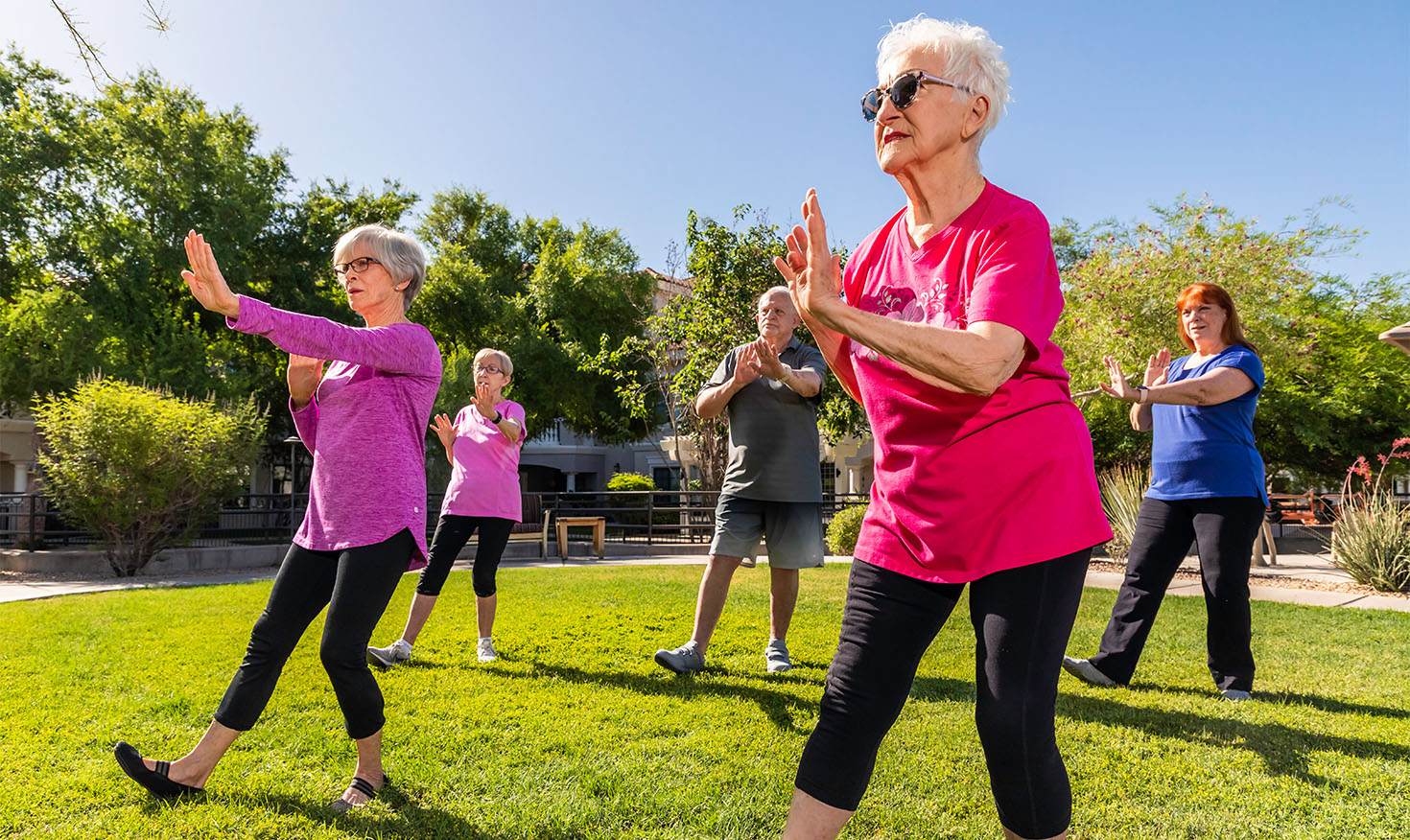 Group of seniors taking an outdoor fitness class