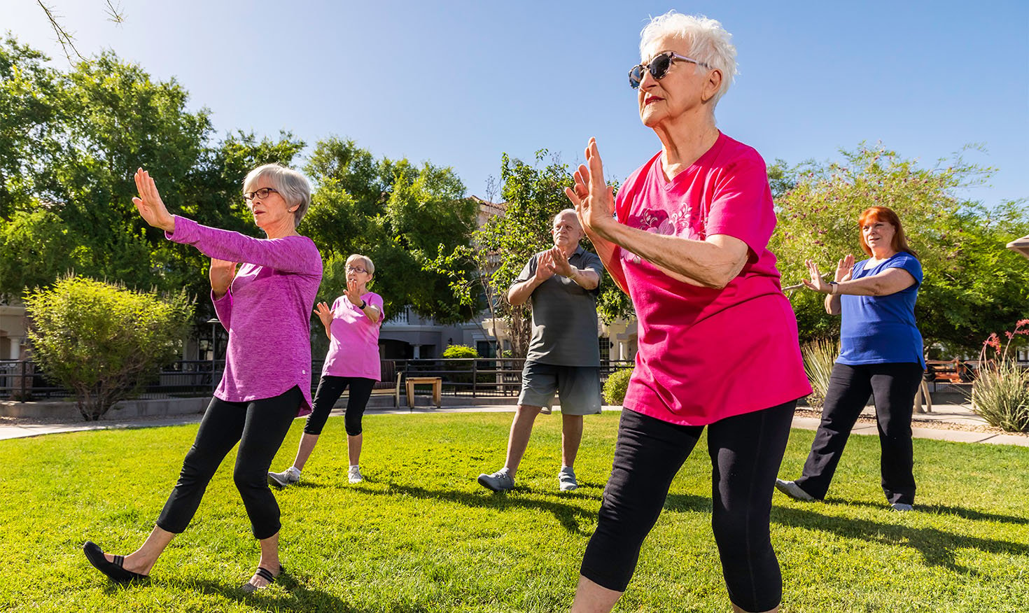 Group of seniors taking an outdoor fitness class