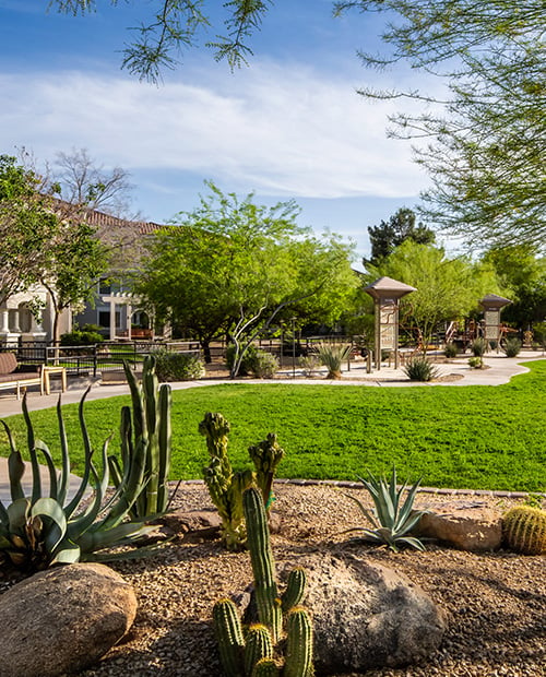 Outdoor cactus garden with green grass and a walking path