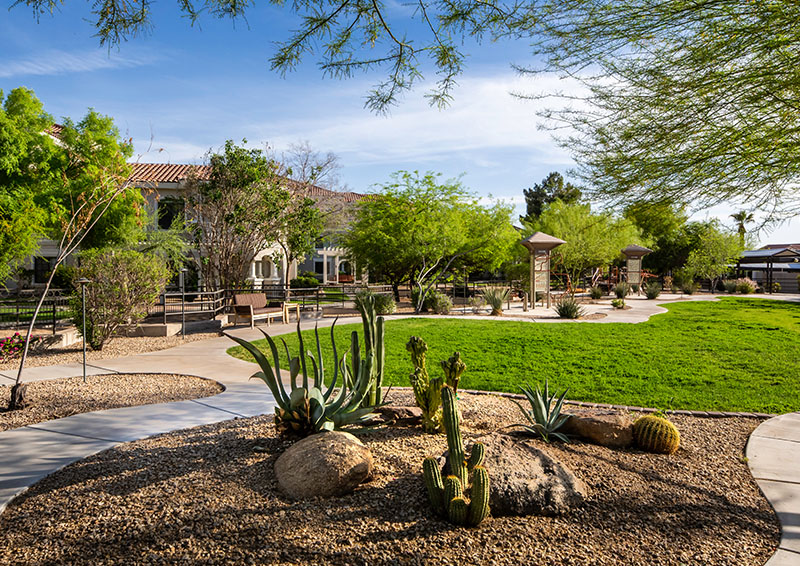 Cactus garden with a walking path