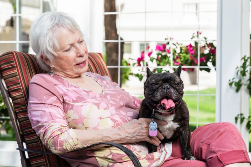 Senior woman sitting on a patio chair with a small black and white dog on her lap