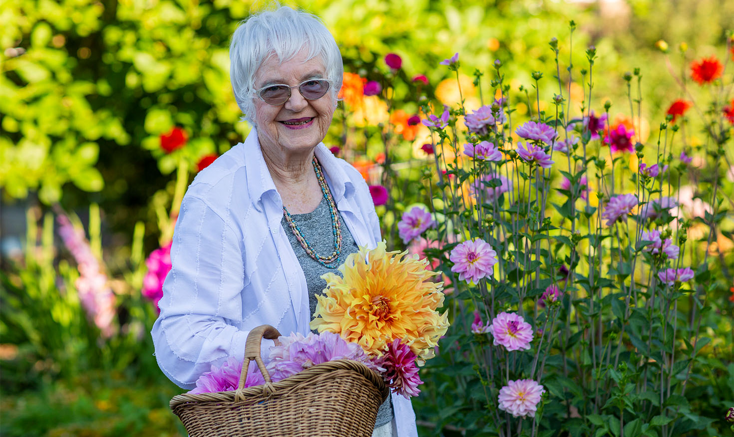 Senior woman in the garden holding a basket of fresh-cut flowers