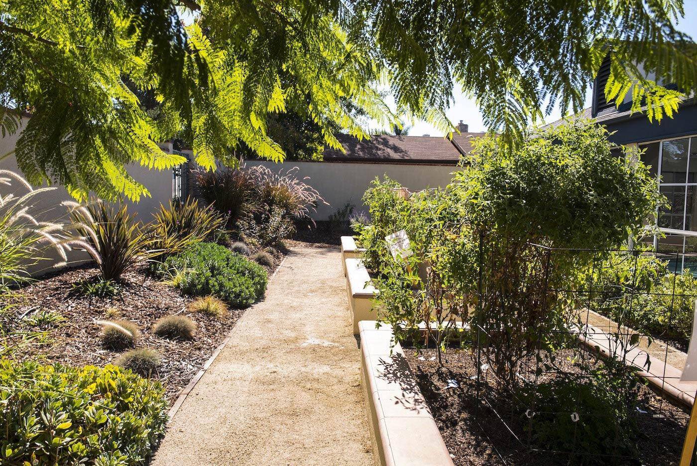Planter beds at Rosewood Terrace