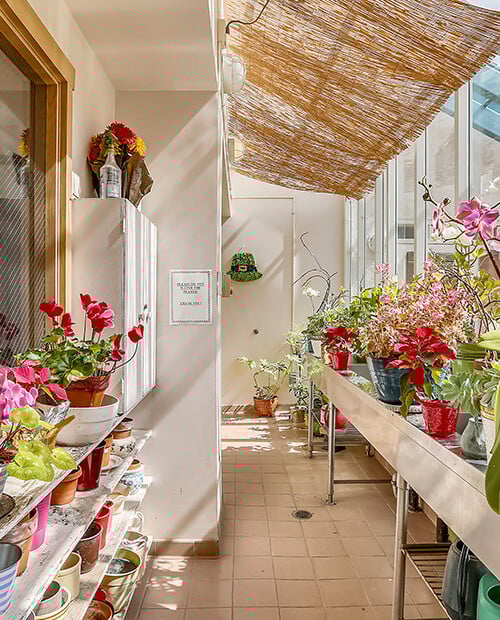 Flowers and plans in the sunroom at Royal Oaks