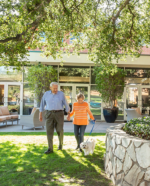 Senior couple holding hands and walking with their dog on the Royal Oaks campus