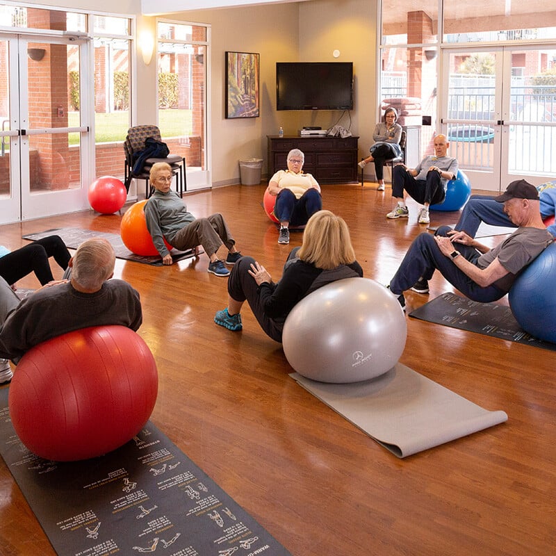 Group of seniors using exercise balls during a fitness class in the Royal Oaks fitness center