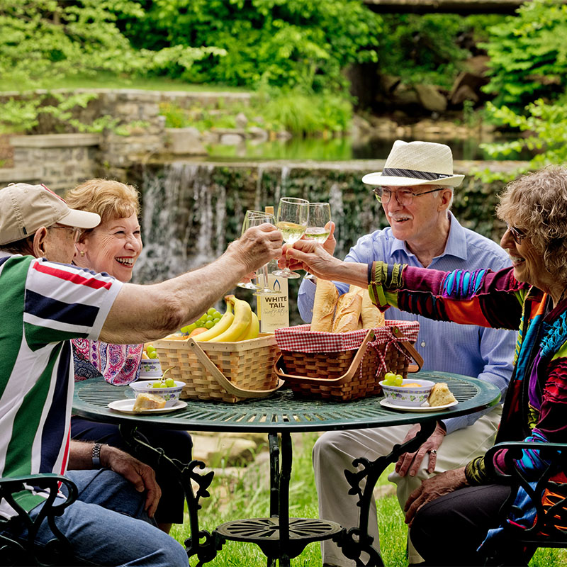 Seniors toasting with wine glasses at an outdoor table with picnic baskets