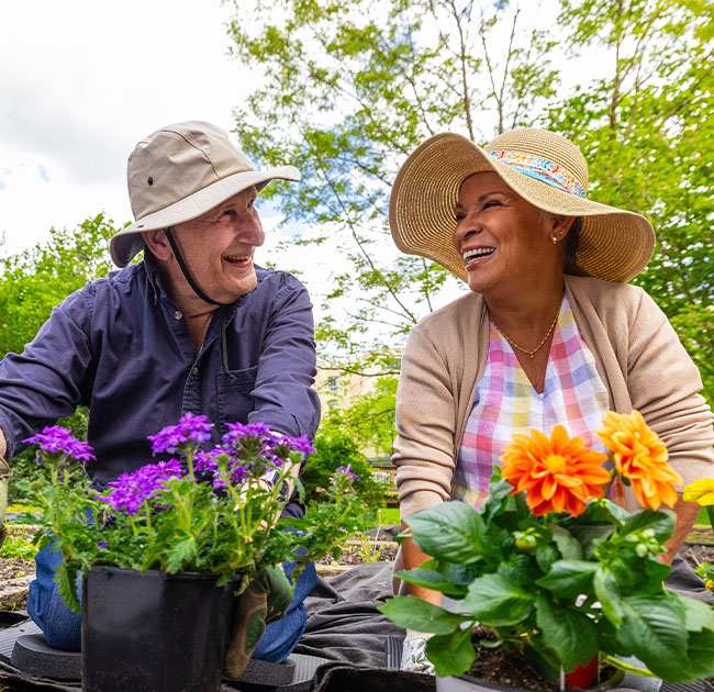 A senior man and woman wearing sun hats gardening