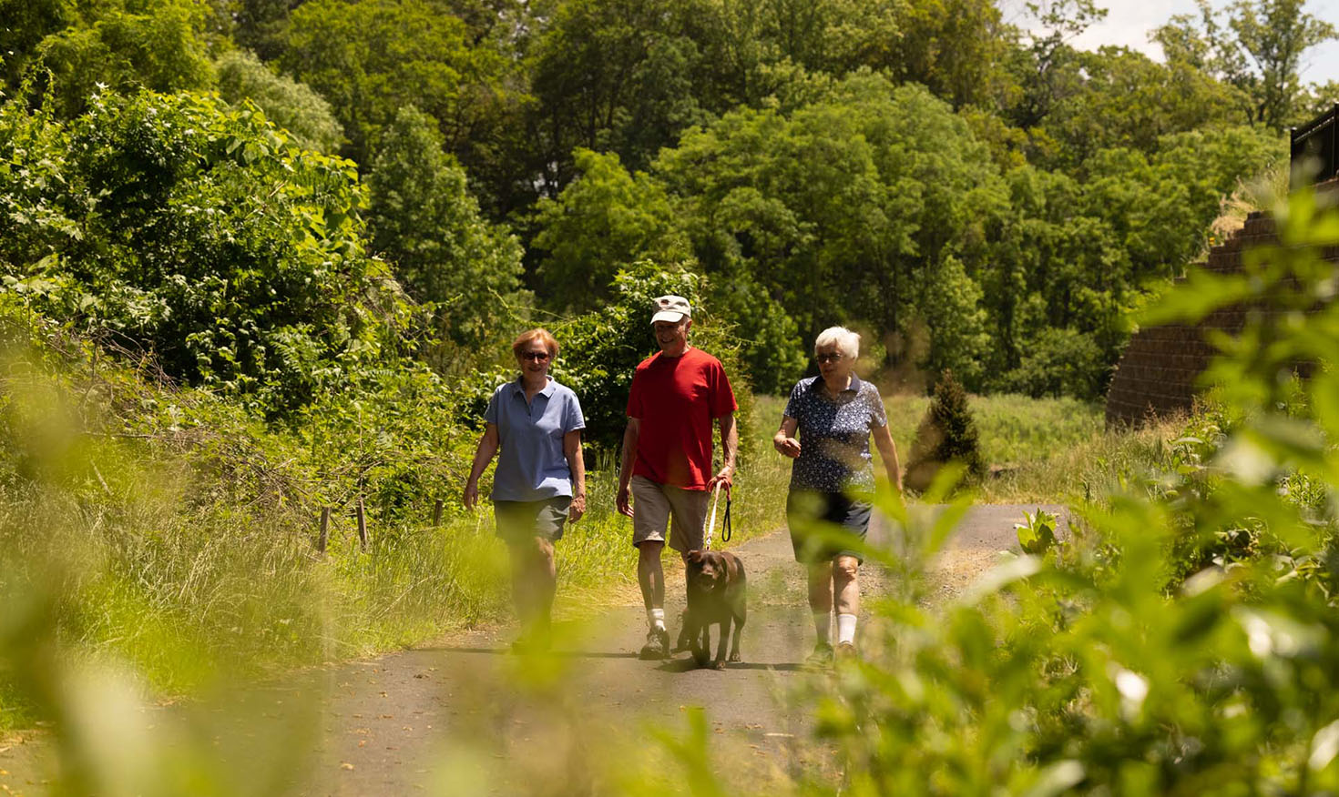 A senior man and two senior women walking a dog outside