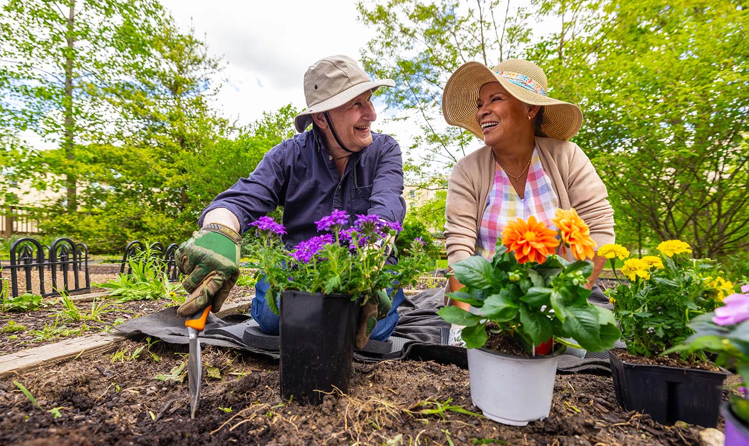 A senior man and woman wearing sun hats gardening