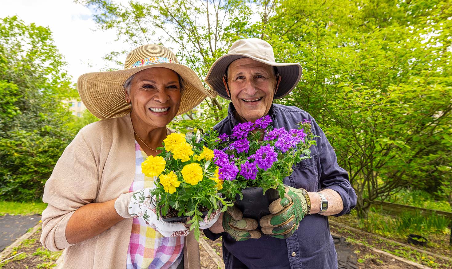 Senior man and senior woman in sun hats holding up yellow and purple flowers in the garden