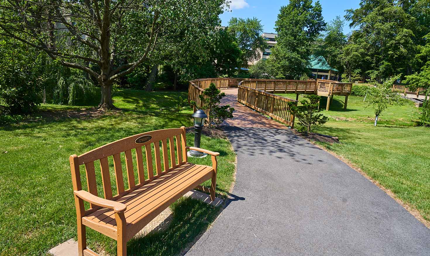 Walking path leading to a wooden bridge