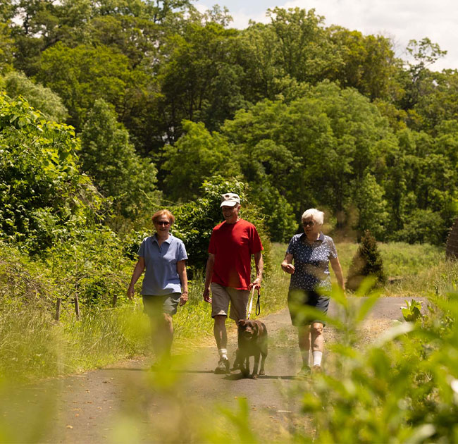 A senior man and two senior women walking a dog outside