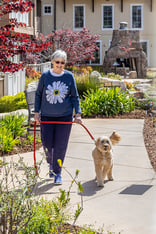 Senior woman walking dog on The Terraces of Los Altos grounds