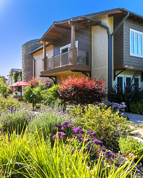 The campus of The Terraces at Los Altos featuring lush landscaping