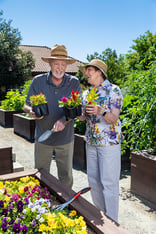 Senior man and woman wearing sun hats and holding plants in an outdoor garden