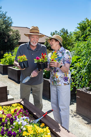 Senior man and woman wearing sun hats and holding plants in an outdoor garden
