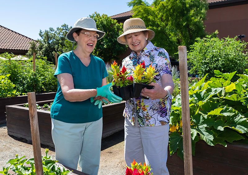 Two seniors wearing sun hats holding plants in the garden