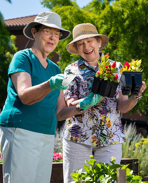 Two seniors wearing sun hats holding plants in the garden
