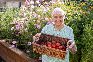 Senior woman holding up a basket of tomatoes 