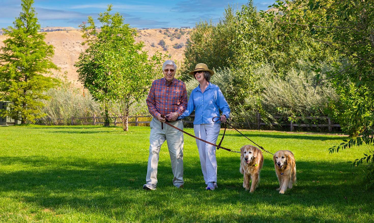 Senior couple holding hands and walking two golden retrievers outdoors