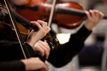 Close up on violonist