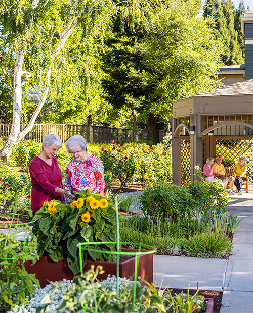 Two senior women looking at plants in the garden