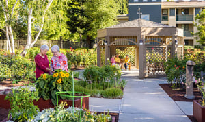 Two senior women looking at plants in the garden