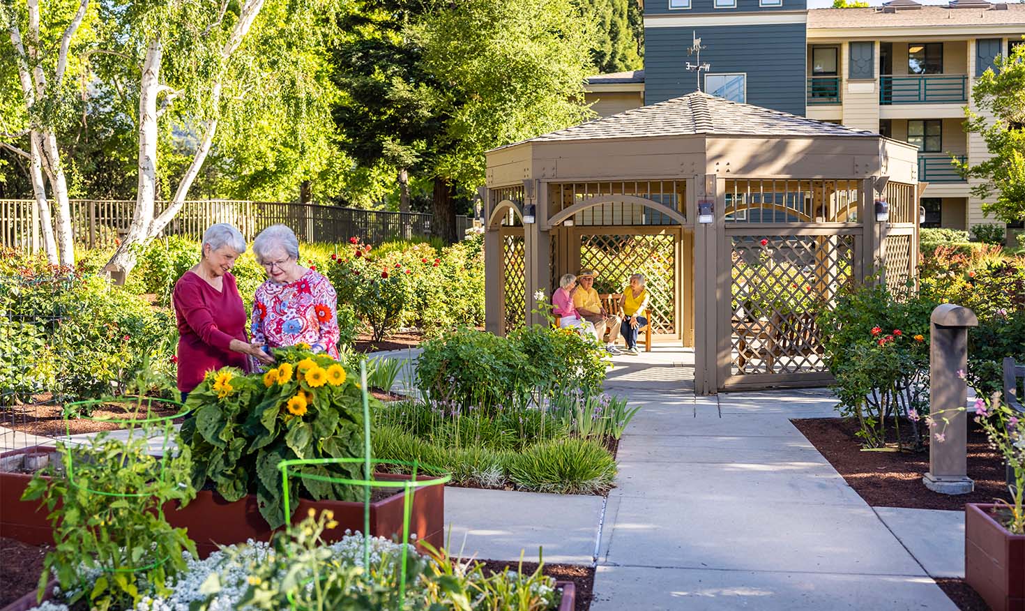 Two senior women looking at plants in the garden