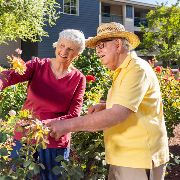 Senior couple enjoying plants in the garden