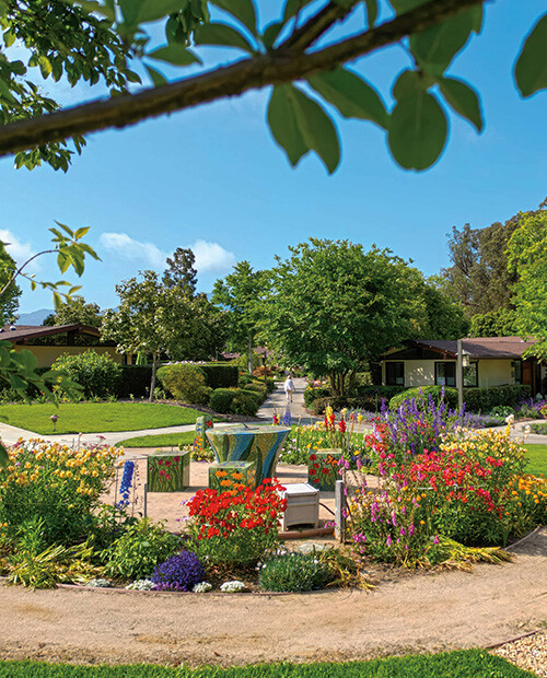 Beautiful garden on the campus of Valle Verde