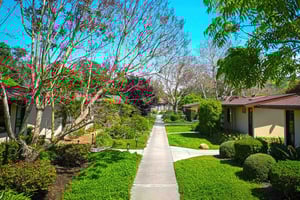 Walking path through the Valle Verde community