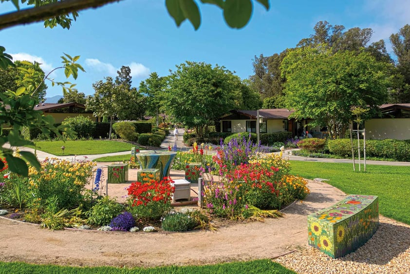 Beautiful garden on the campus of Valle Verde