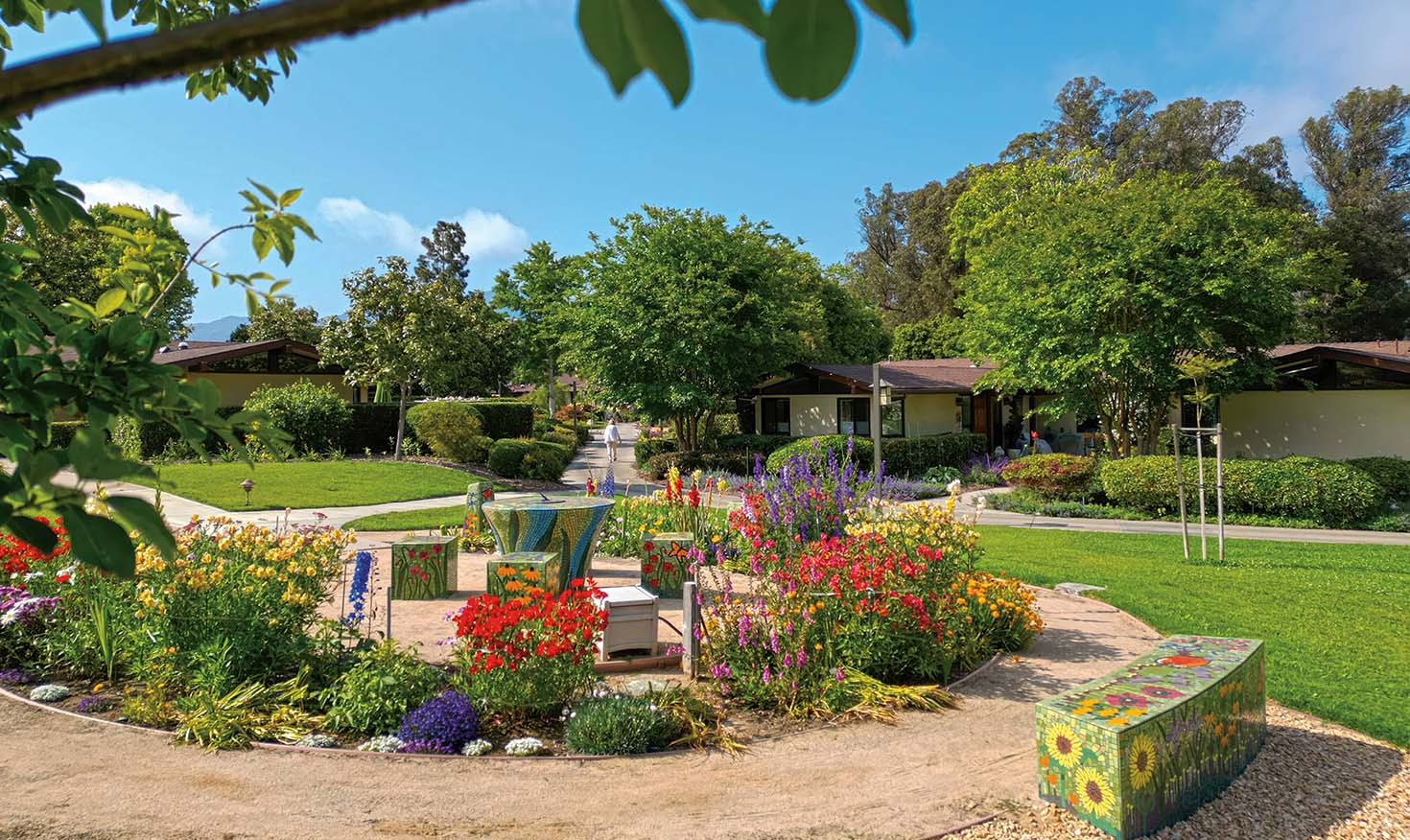Beautiful garden on the campus of Valle Verde