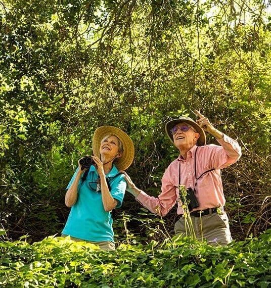 Senior man and woman bird-watching