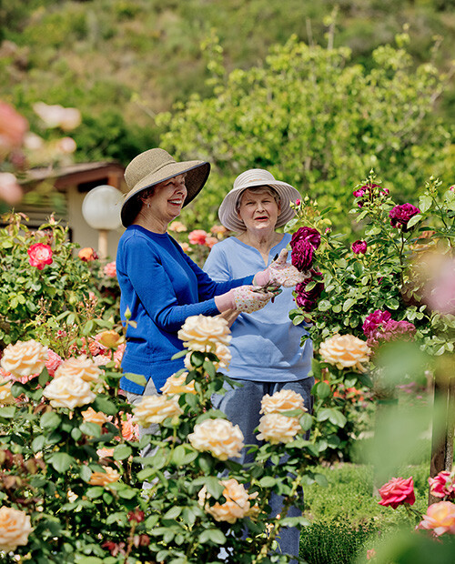 Two senior women wearing sun hats and gardening