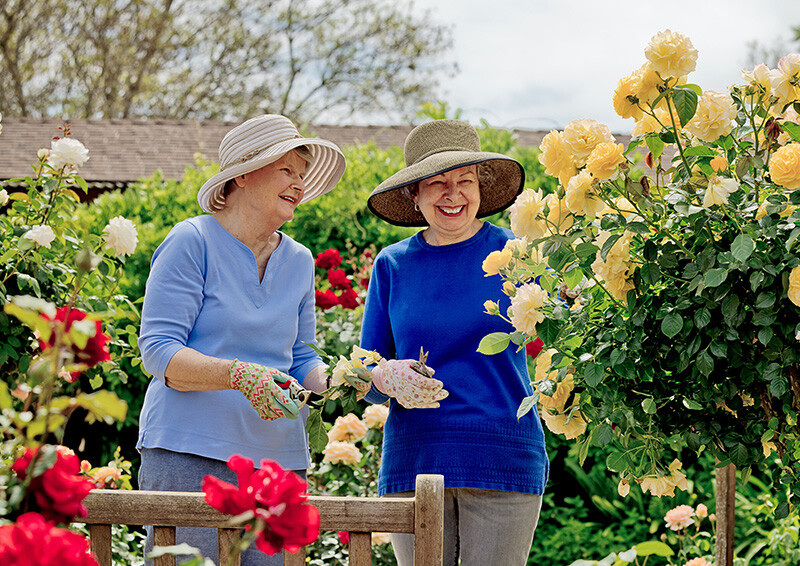 Two senior women wearing sun hats and gardening
